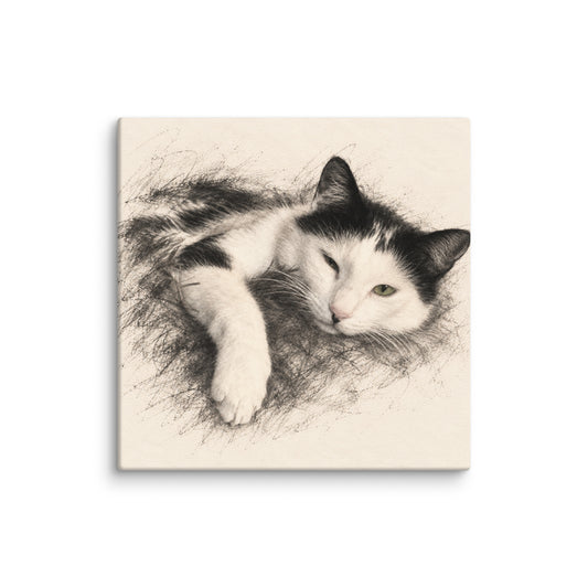 Lumi the Cat