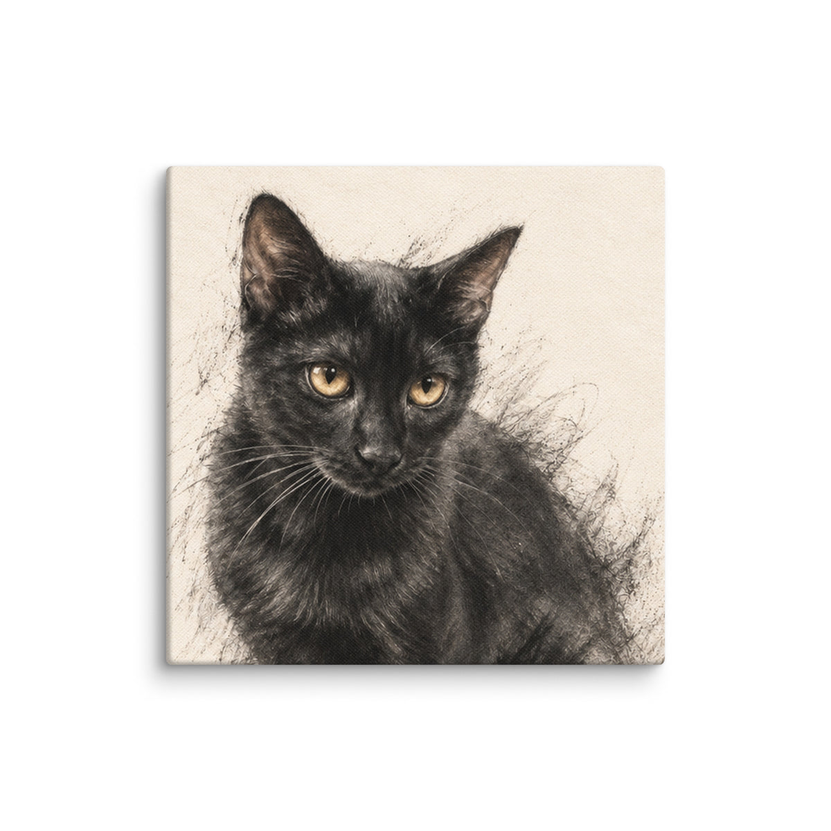 Kiiro Yellow Eyes Cat